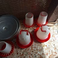 محل دجاج • معدات كاملة • حله نيل