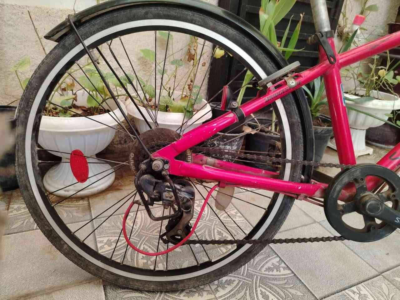 بايسكل • مقاس ٢٦