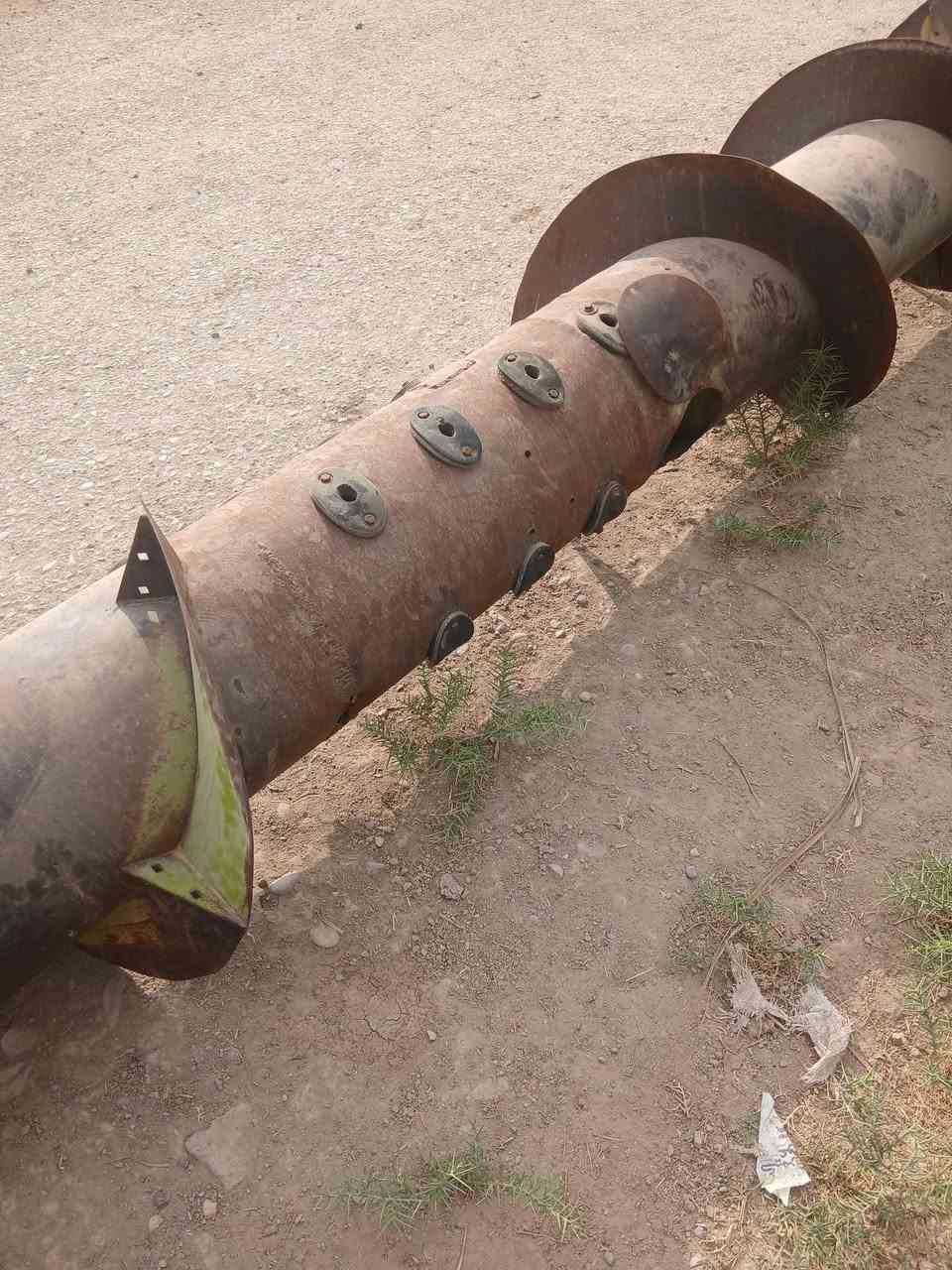 زوج بلام كلاص للبيع///وبرينه كلاص للبيع العنوان ديالى المقداديه ***********
