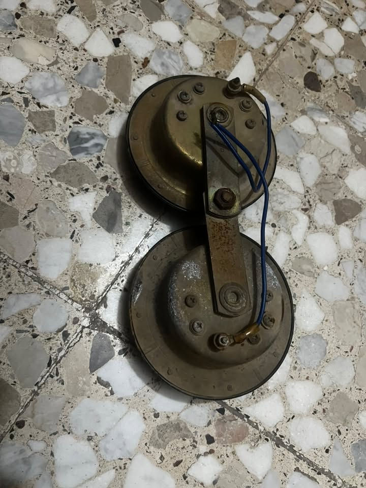 هورنات بوش • أصلي
