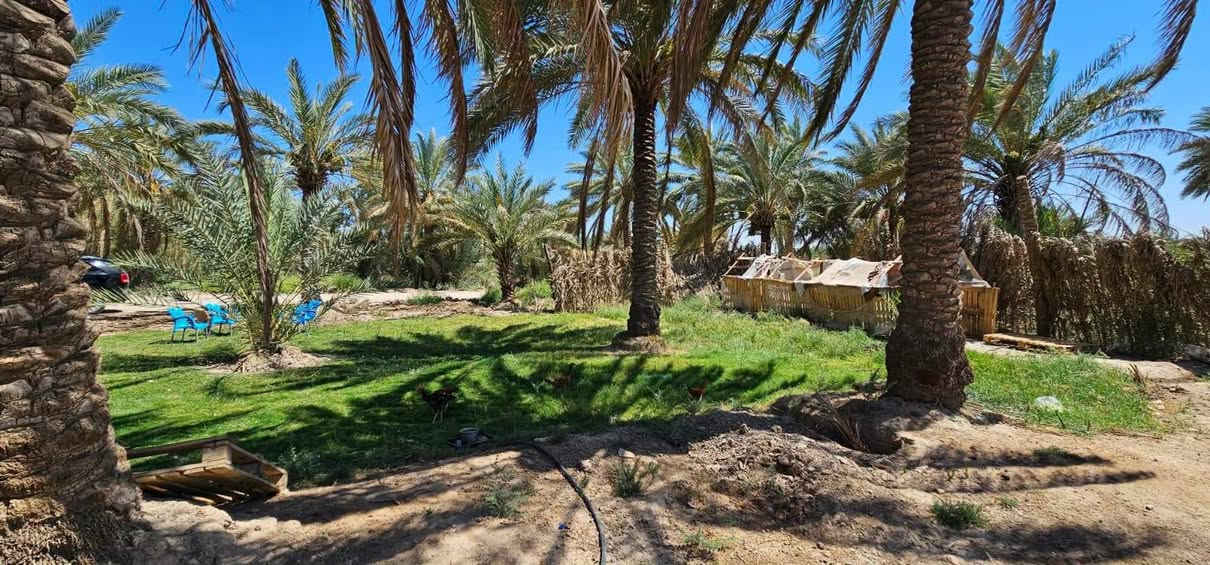 🏡 للبيع أرض مميزة على طريق كربلاء – بغداد

📍 الموقع: طريق كربلاء – بغداد، تيل 392، مجاورة محطة الأزهار.

📐 المساحة: دونمين وربع
📏 الواجهة: 28 متر، والباقي نزال.

✨ مميزات الموقع:
• تبعد حوالي 1 كم عن طريق الزوار
• تبعد فقط 200 متر عن التبليط
• قريبة من جميع الخدمات
• تحتوي على دار واستراحة
• جنس الأرض: سند 25 – تحويل أسهم

📌 موقع ممتاز للسكن والاستثمار، ومناسب للمشاريع والاستراحات.
♦️♦️السعر: 200 مليون وبيها مجال♦️♦️
📞 للاستفسار والحجز: ***********
