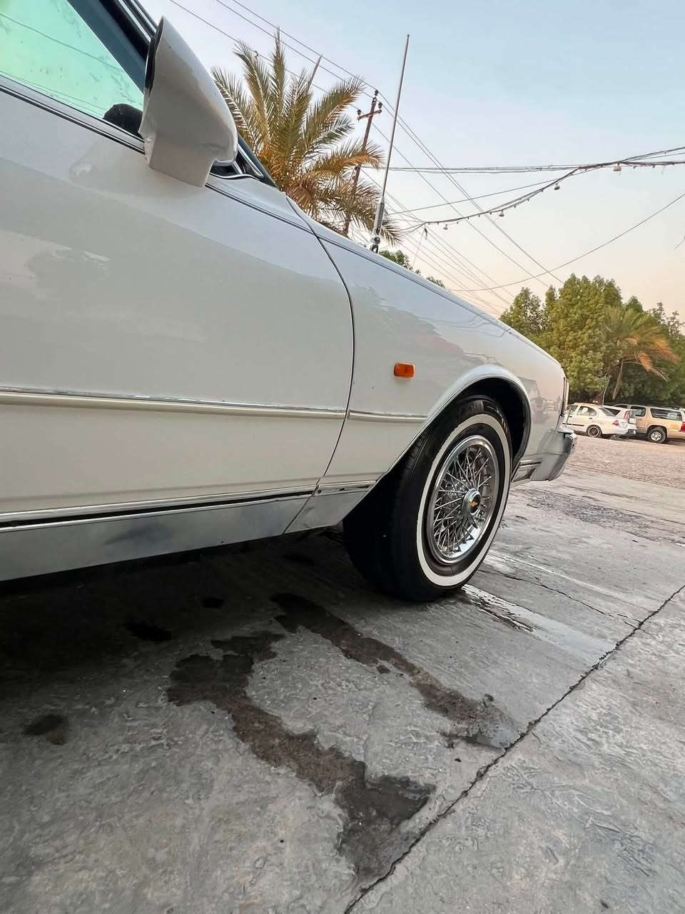 سلام عليكم كابرس LS رقم بغداد نكليزي باسمي موديل 1989 اصل
سياره متعوب عليه وبس جناي يعرف قيمته 
مكينه بلادي ٨ سلندر ٣٠٥ كير ٧٠٠ شعله ومعدل شك كاع    تبريد ثلج عليه كبريسر ياباني وغاز فرنسي قمارن هسه مشتغليه جديده محرك لا صرف ولا بخار 
فيتبم ودووش جدد داينمو رياضي بيه باتري جديد 

تخم تاير صالي  شهر من شديته  مكاني بغداد شعله 
سعر ٥٥ وبيه مجال ***********

