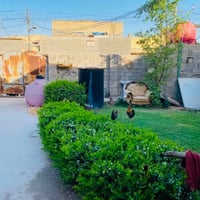 البلديات المعسكر • بيت • ٢٠٠م