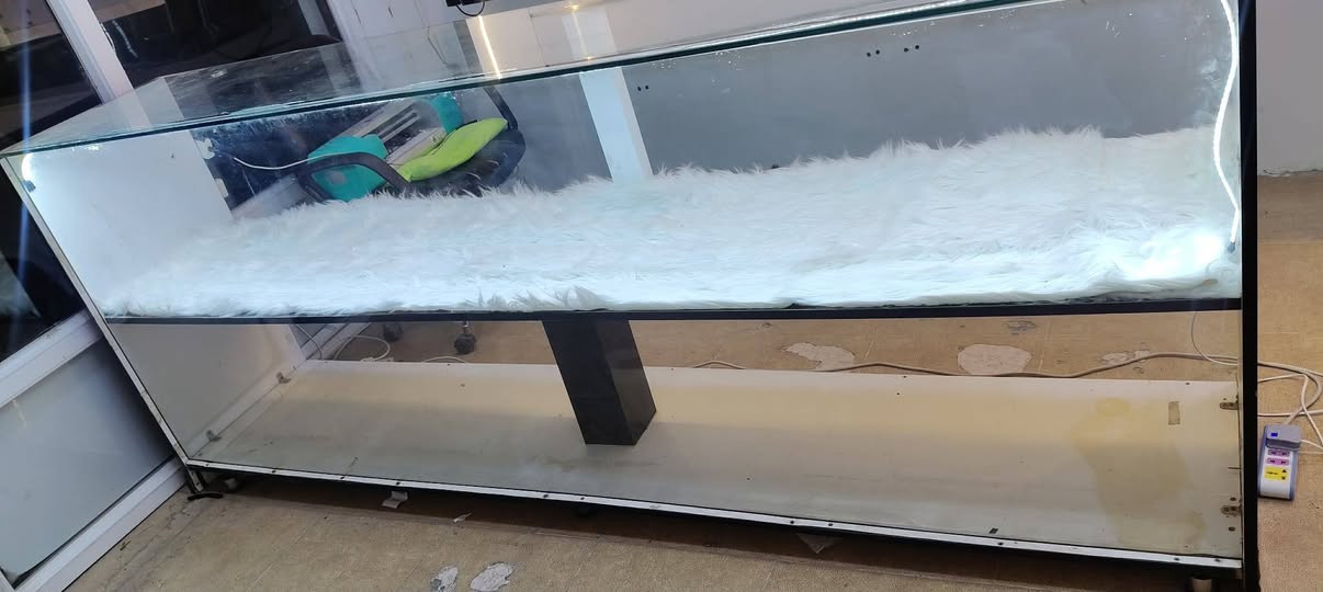 مێز و ڕەفەیەکی دووکان بۆ فرۆشتن
قیاس مێز 
بەرزی 1 م
درێژی 2.5 م
قوڵی 50 سم
قیاس ڕەفە 
بەرزی 130 سم
پانی 2.5 م 
قوڵی 35 سم
150 هەزار قفڵ
تەنها مێزە شوشەکە 300 دۆلاری تێچووە 
 ***********

تەنها جوابی تەلەفوون ئەیەینەوە
