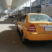 ٢٠١٣ • بدون صبغ • غرامات صفر