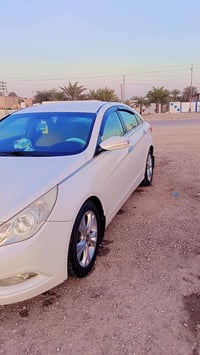 سونا • ٢٠١١ • رقم اربيل