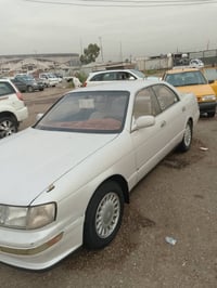بطة ياباني • ١٩٩٥ • بغداد الجديدة