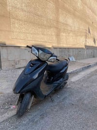 ببغاء خطين • نوزل • ما بيها نقص
