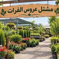 ديكور منزلي • حديقة • بدون تفاصيل