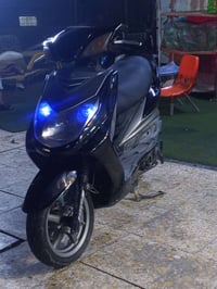 سكنس فحل • نوزل • نضيفه