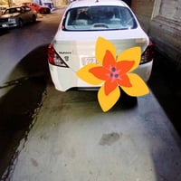 صني • ٢٠٢٥ • مكفولة