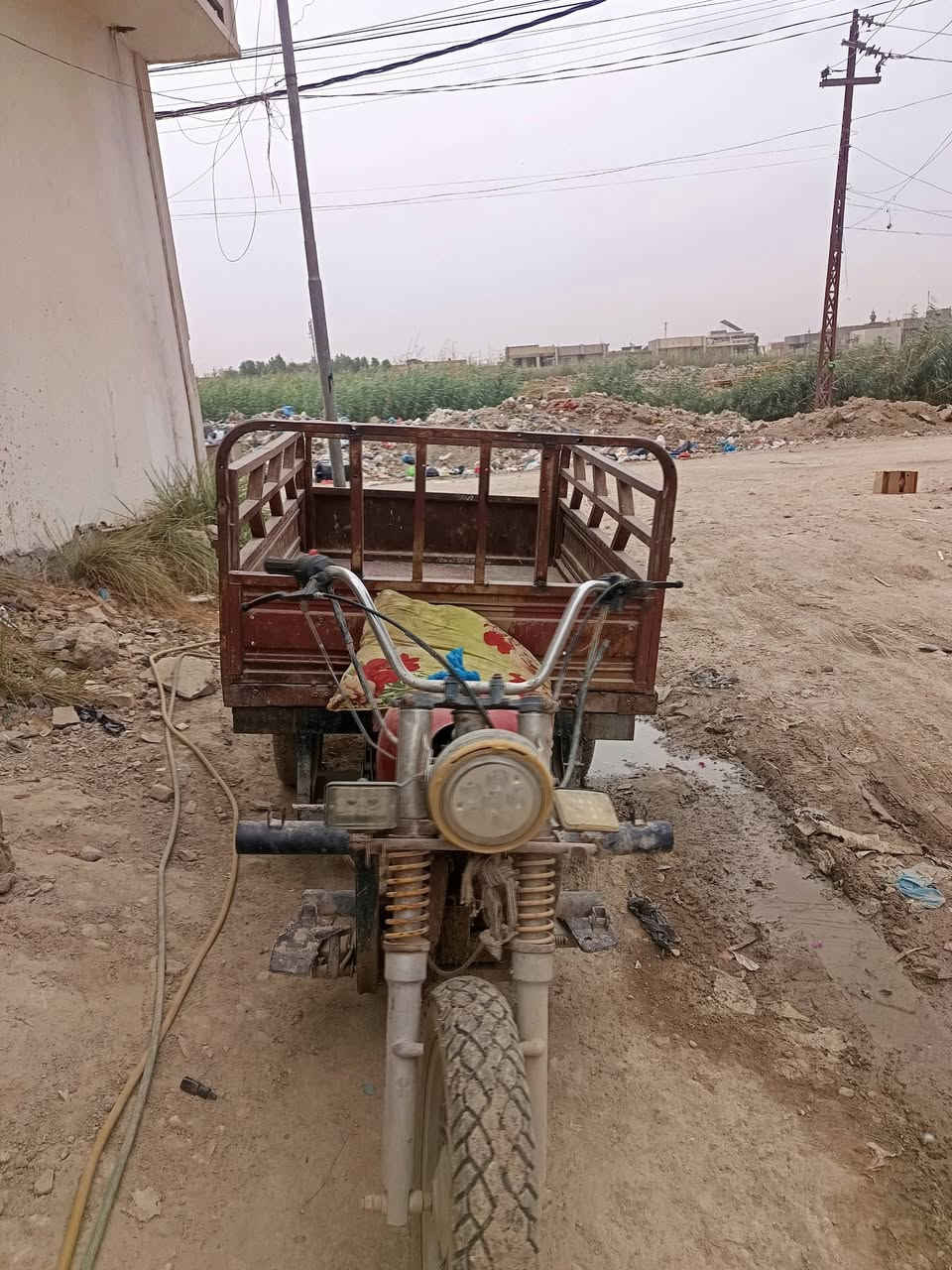 ستوته • شغاله • فيه مجال