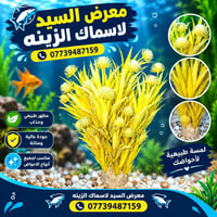 نباتات الأحواض • ورد الأحواض • اصطناعي