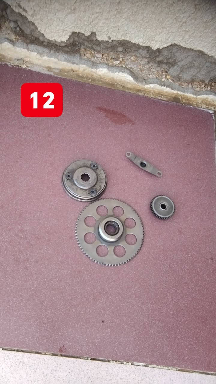ماكس عدلة • غراض • شاصي