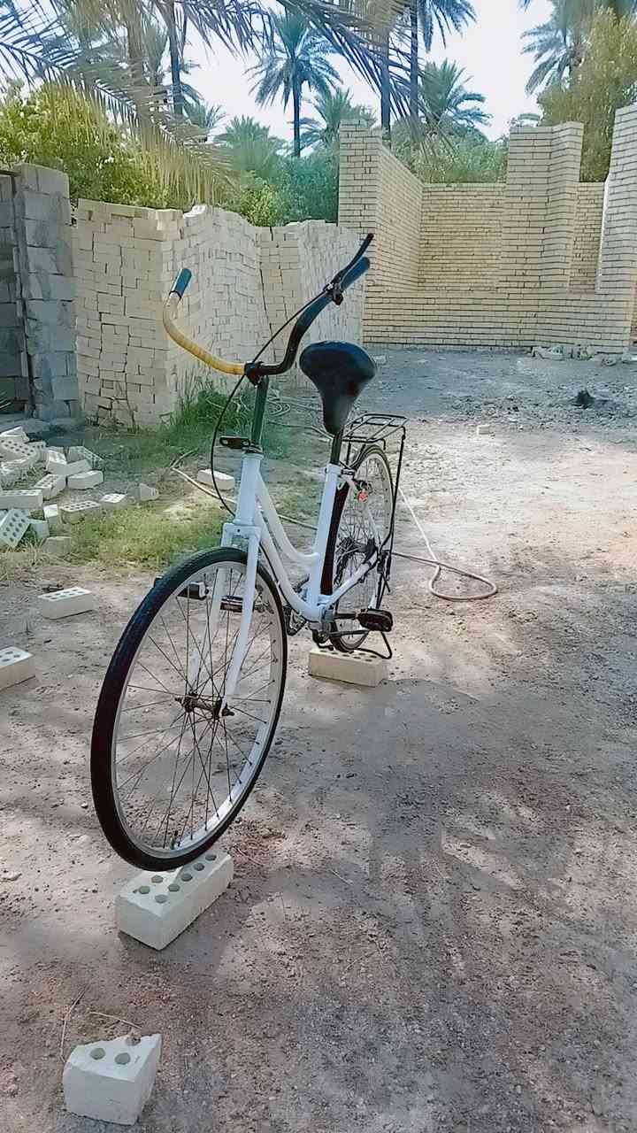 باسكل لابيع او مراوس چاملقات مجودات  مديل 2020التواصل خاص او وساب *********** السعر 50وبيه مجال مكاني كربلاء
