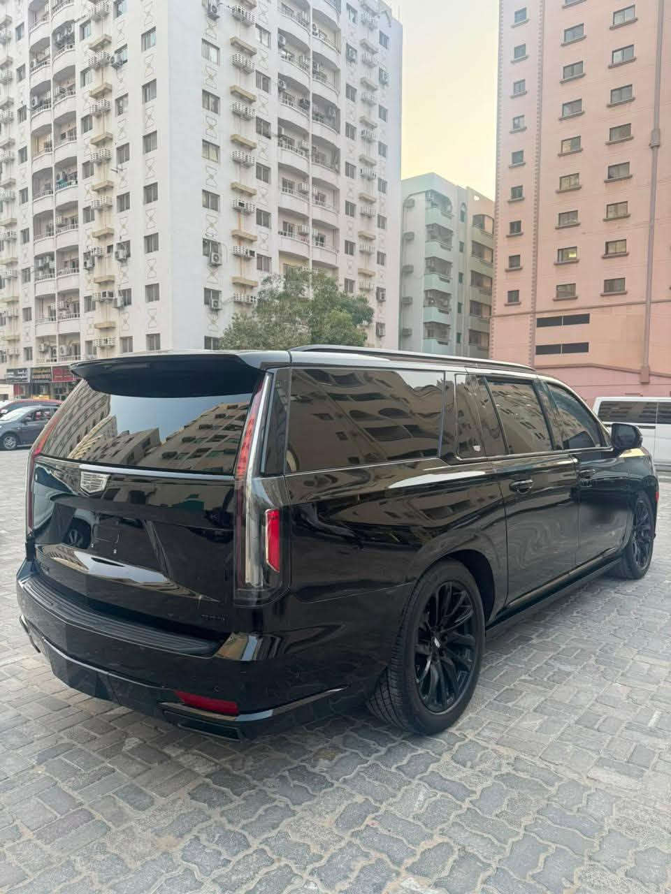 سكاليد • ٢٠٢٤ • شاص طويل