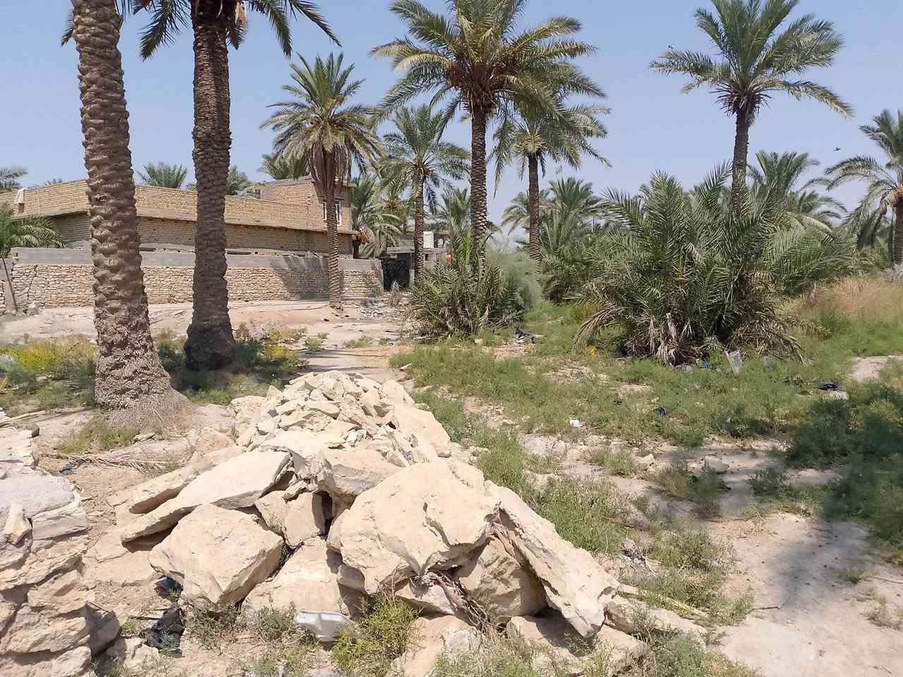 سلام عليكم قطعه 400مترللبيع قرب مستشفى الاطفال مقابيل ستداره العصافير قريبة على الجامعة الجديده
*********** قرار محكمه نقل اسهم زراعي سند 25
