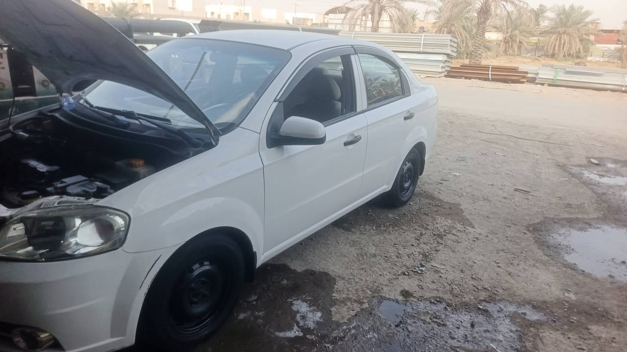 نوبيرا • ٢٠١٠ • نجف