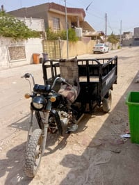 ستوته • بدون اوراق • محرك جديد