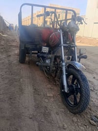 ستوته • نضيفه • أوراق باسمي