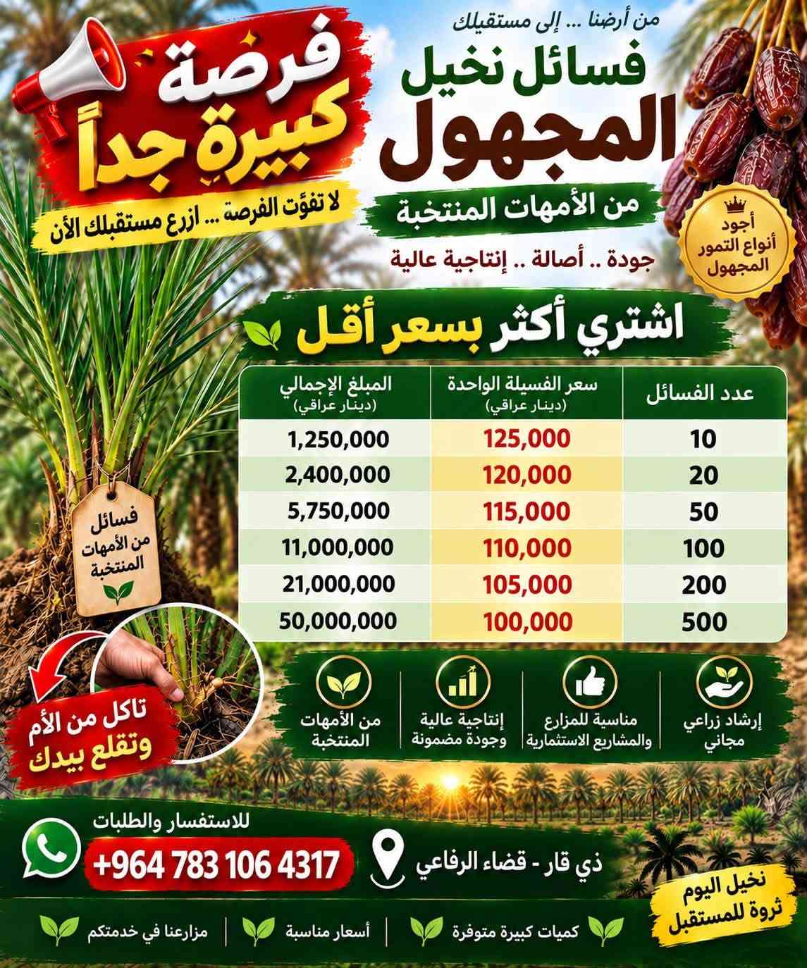ارض زراعيه في قضاء الرفاعي اقل من  ٣ دونم
الجزء المطل على نهر الغراف مباشرة بعرض ٥٠ متر 
تحتوي على اكثر من ٦٠ نخله 
حوالي ٥٠ منها نوع مجهول مثمر بعمر حوالي ١٠ سنوات وحوالي ١٠٠٠ فسيلة مجهول منها ٢٠٠ مجذره بالام 
تسقى عبر منظومة ري بالتنقيط بالاضافه إلى أشجار تين وتفاح ورمان ونبك ونومي حامض
للبيع مع الفسائل او بدونها

للاستفسار الاتصال على الرقم 
***********

نص مكتوب في الصور:
- 28 50 134 44 45
- من أرضنا ... إلى مستقبلك
- فسائل نخيل المجهول
- فرصة كبيرة جداً
- من الأمهات المنتخبة
- لا تفوّت الفرصة ... ازرع مستقبلك الآن
- جودة .. أصالة .. إنتاجية عالية
- اشتري أكثر بسعر أقل
- عدد الفسائل | سعر الفسيلة الواحدة (دينار عراقي) | المبلغ الإجمالي (دينار عراقي)
- 10 | 125,000 | 1,250,000
- 20 | 120,000 | 2,400,000
- 50 | 115,000 | 5,750,000
- 100 | 110,000 | 11,000,000
- 200 | 105,000 | 21,000,000
- 500 | 100,000 | 50,000,000
- إرشاد زراعي مجاني
- مناسبة للمزارع والمشاريع الاستثمارية
- إنتاجية عالية وجودة مضمونة
- للاستفسار والطلبات
- +964 783 106 4317
- ذي قار - قضاء الرفاعي
- كميات كبيرة متوفرة | أسعار مناسبة | مزارعنا في خدمتكم
- نخيل اليوم ثروة للمستقبل