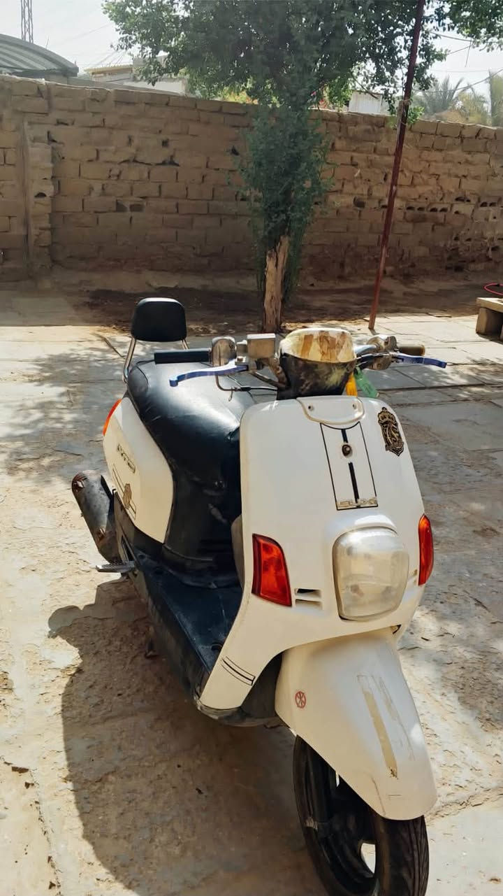 ماكس بوليس • شغاله • سلف