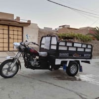 ستوت • ٢٠١٧ • شاصي شرط