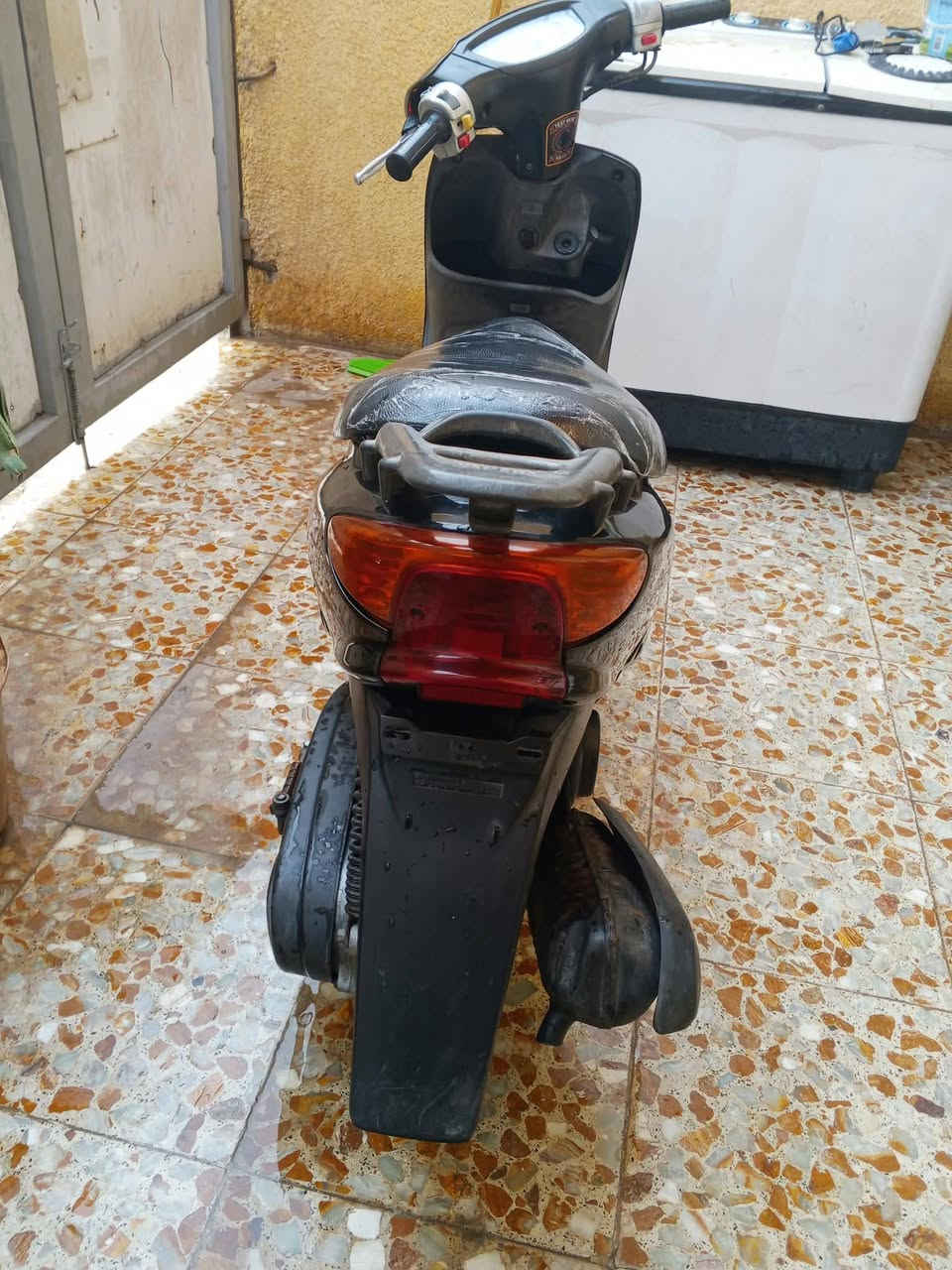 عصفوريه • نضافه • فول