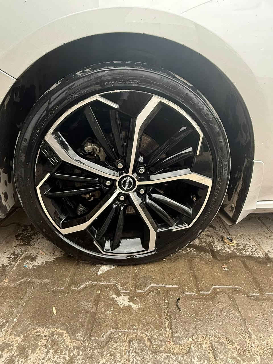 طاير ويل • قياس ١٩ • ٢٠٢٢