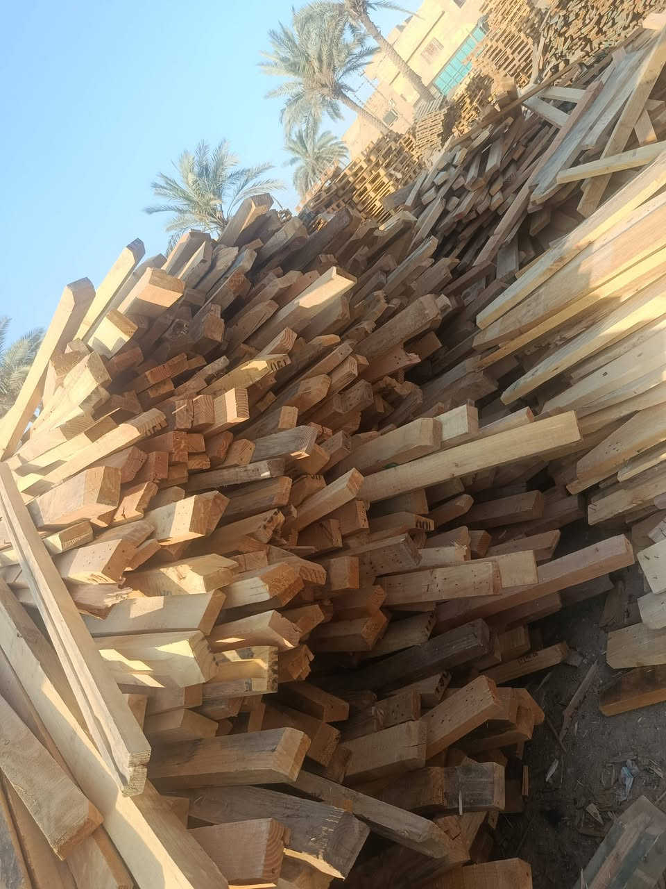 وصول خشب انج ونص وخشب انجين طول 140الى 190 متوفر كميات
عنوان حله ***********
