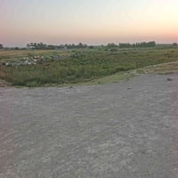 ارض زراعيه للبيع المساحه 11دونم سند 35 مطله على نهر الثرثار منطقه الرض...