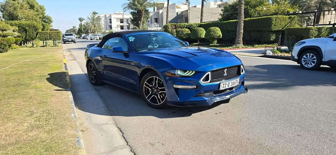 🚗 للبيع | Ford Mustang EcoBoost Premium Convertible 2022

💙 لون أزرق مميز مع سقف كشف أسود، سيارة نظيفة جدًا ومعتنى بيها.

✅ موديل 2022
✅ EcoBoost Premium Convertible
✅ ممشى 82,000 كم
✅ رقم بغداد
✅ Cruise Control (تحكم كروز)
✅ كشف كهربائي
✅ أوتوماتيك
✅ السيارة جاهزة للاستخدام وما تحتاج أي صرف.

💰 السعر: 15,500 دولار

📍المعاينة للجادين، وللاستفسار 
***********

ملاحظة: السيارة نظيفة جدًا محرها وكيرها واللي يدور موستنك كشف موديل حديث راح يعرف قيمتها من يشوفها.

#Mustang #Ford #Mustang2022 #EcoBoost #Convertible #بغداد #سيارات_للبيع #العراق بغداد, العراق
