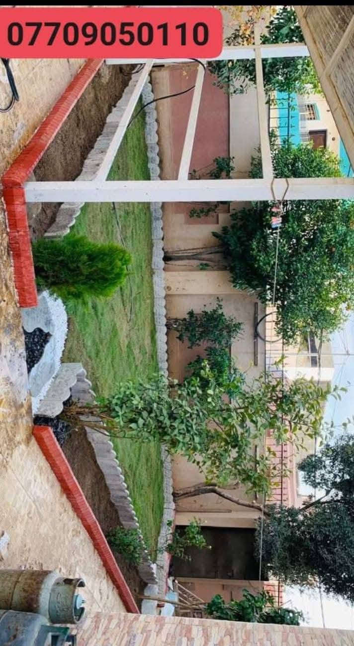 حديقة جاهزة • يوم واحد • تقليم اشجار