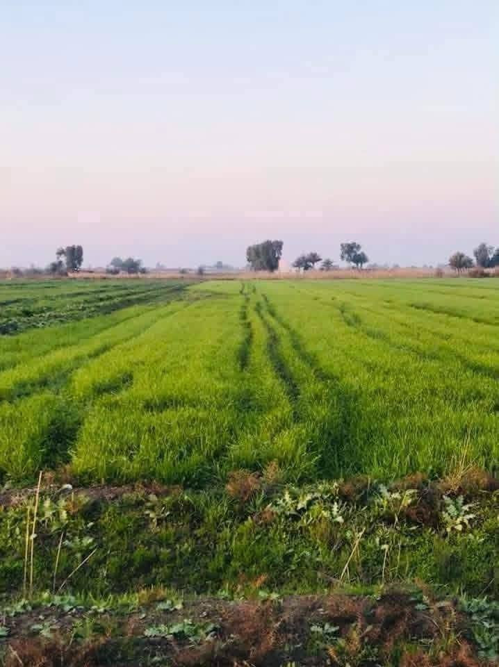 السلام عليكم ارض زراعيه سند 25المساحه دونم واحد 2500 سند 25طابو زراعي ع طابو المحموديه متوفر 
ماء +كهرباء+ مدارس+مستوصف
العنوان/الرضوانيه الشرقيه م/15قرب ث/ الكندي للبنين 
للاستفسار////***********///////***********
امير المشهداني
