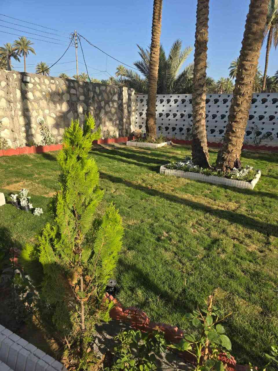 فرصة استثمارية • ٢٥٠٠م • طابو زراعي