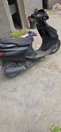 فراشه • فحل • مامفتوحه