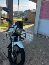 سنكي • ٢٠٢٣ • قضاء بلد