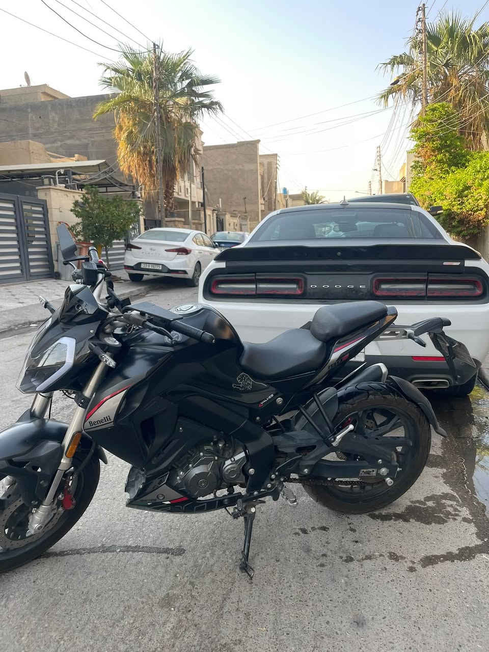 بنلي 180s

لونها اسود طافي 

ماشيه 7500

بعدها جديده 

موديل 2024 احدث موديل نزل بيها

مرقم اربيل وسنويه وتحويل بيها 

تحتوي راديتر 

مرايات h2 

عداد الكتروني 

لايت لد كلهن حتى الاشاير 

حساس ستاند

السعر  3.500 وبي مجال تواصل على الرقم ***********

مكانها بغداد

