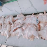 دجاج حي • كامل • تنضيف