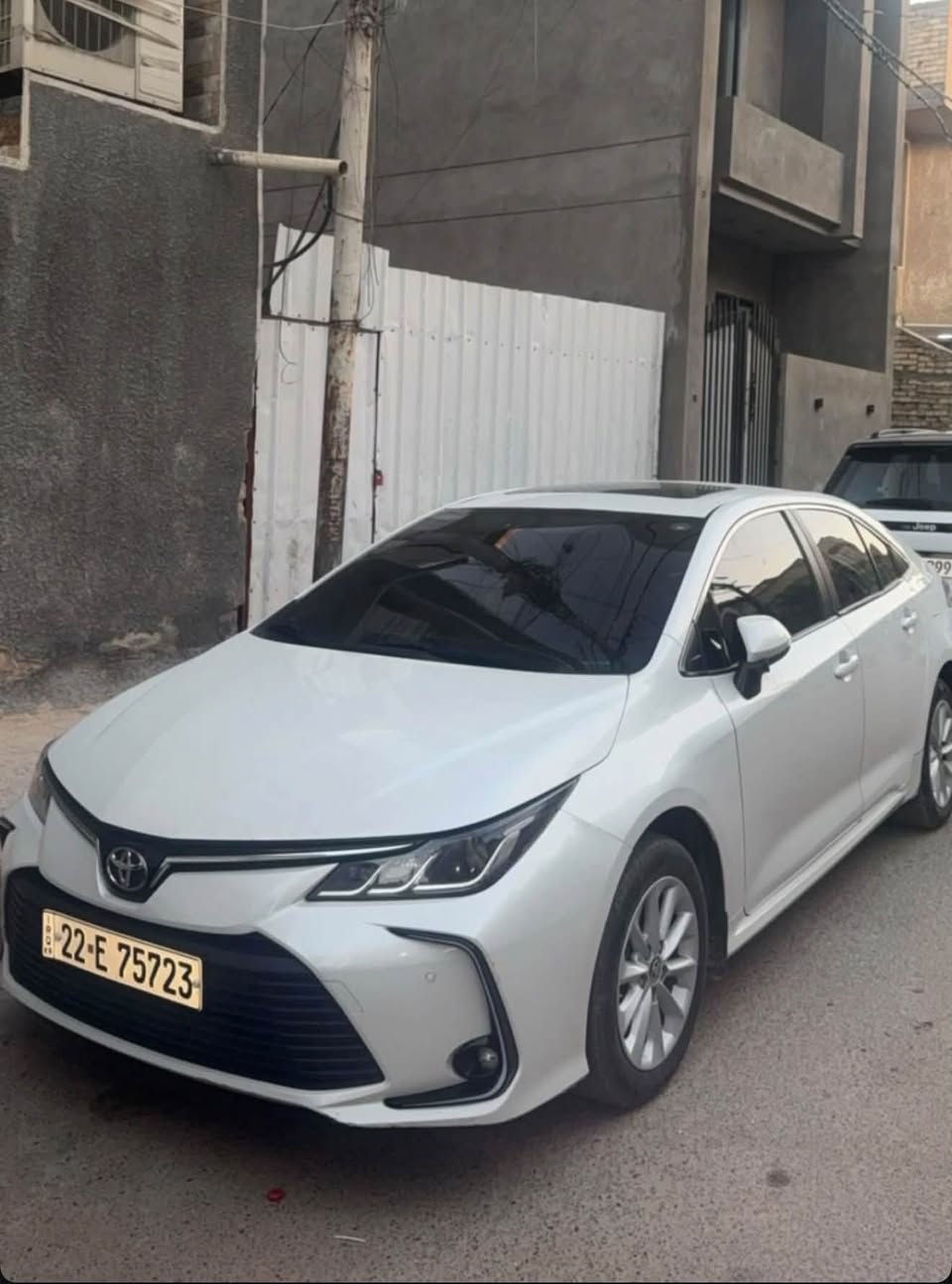 كورلا • قطعة صبغ • ٢٠٢٢