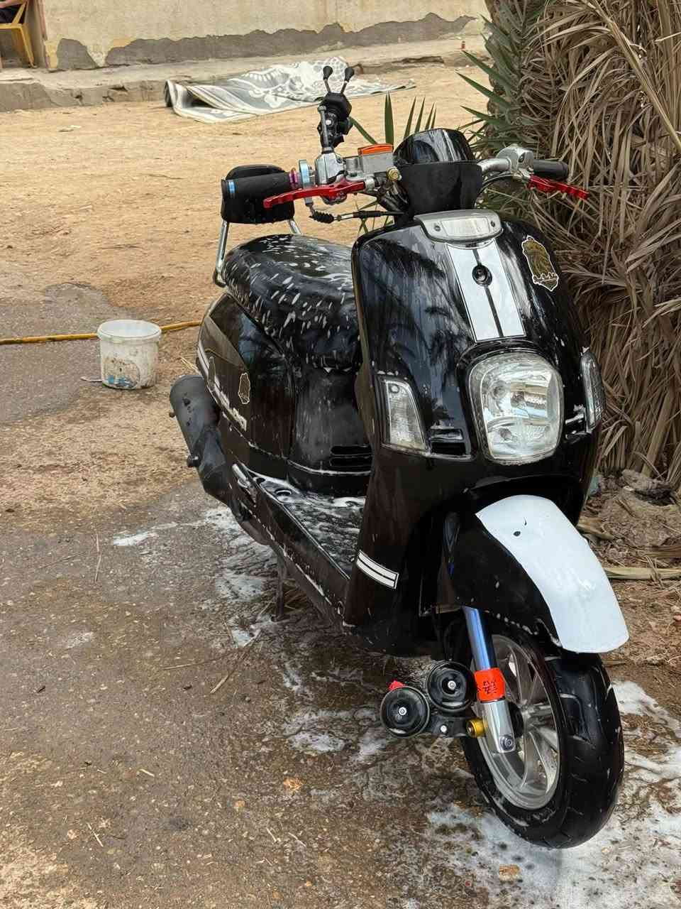 ناشفه • بوليس • مختمه