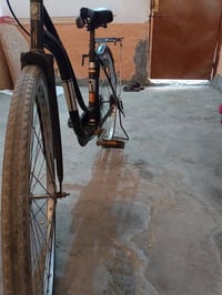 باسكل • مرواس • نضيف