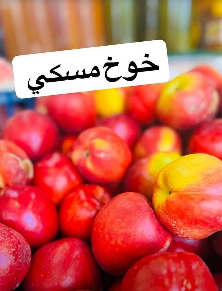 خيرات بسماية • خضار وفواكه • طازجة