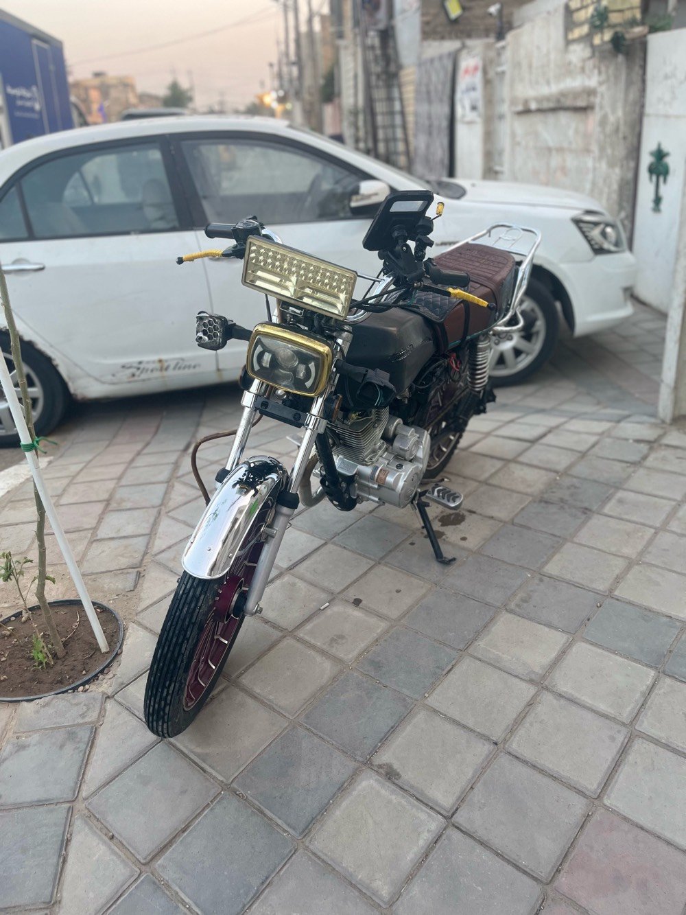 سيفان • ٢٠٢٤ • تحتاج تفيلس