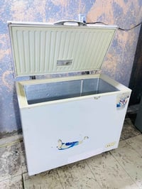 مجمده • ١٦ قدم • محاويل