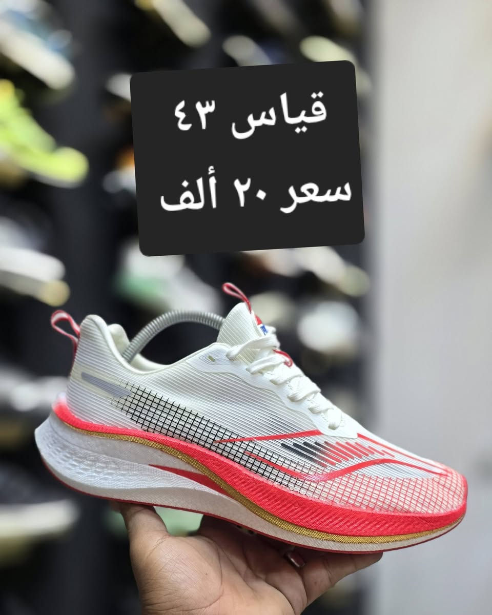 باله اوربي نظافه فول 
العنوان ناصريه نهاية شارع الحبوبي قرب ابو حمزيه ركن منفذ المدار داخل الفرع محل علاء الحجامي يوجد خدمه توصيل جميع المحافظات #احذية

نص مكتوب في الصور:
- قياس ٤٣
- سعر ٢٠ الف
- قياس ٤٤ طول القدم ٢٨ سعر ٢٠ ألف خفيف جدا
- قياس ٤٤
- سعر ٢٠ ألف
- قياس ٤٣ سعر ٢٠ ألف
- قياس ٤٣ طول القدم ٢٦ ونص
- سعر ١٥ ألف
- قياس ٤٤ طول القدم ٢٨
- سعر ٢٠ ألف خفيف جداً
- سكجرز قياس ٤٣ طول القدم ٢٦ ونص سعر ٢٠ ألف نظافه ١٠٠٪
- ايزي أديداس صناعة ألماني قياس ٤٤ طول القدم ٢٧ ونص سعر ٣٥ ألف نظافه ١٠٠%