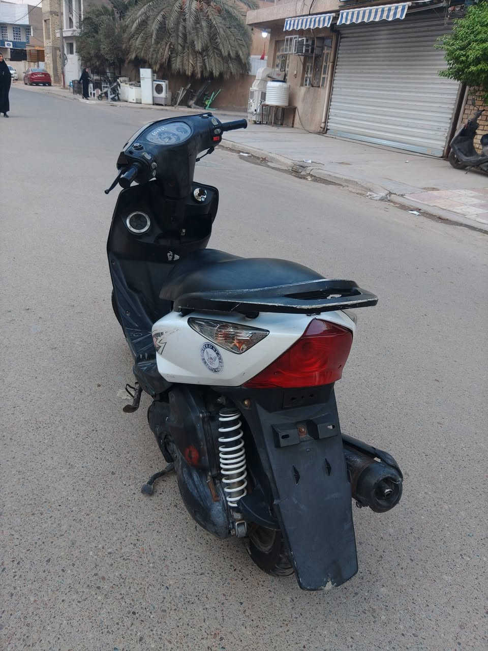 ثعلب • نضيفة • ممفتوحة