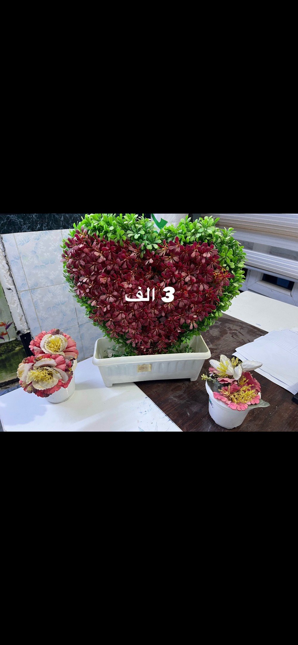 راسلني