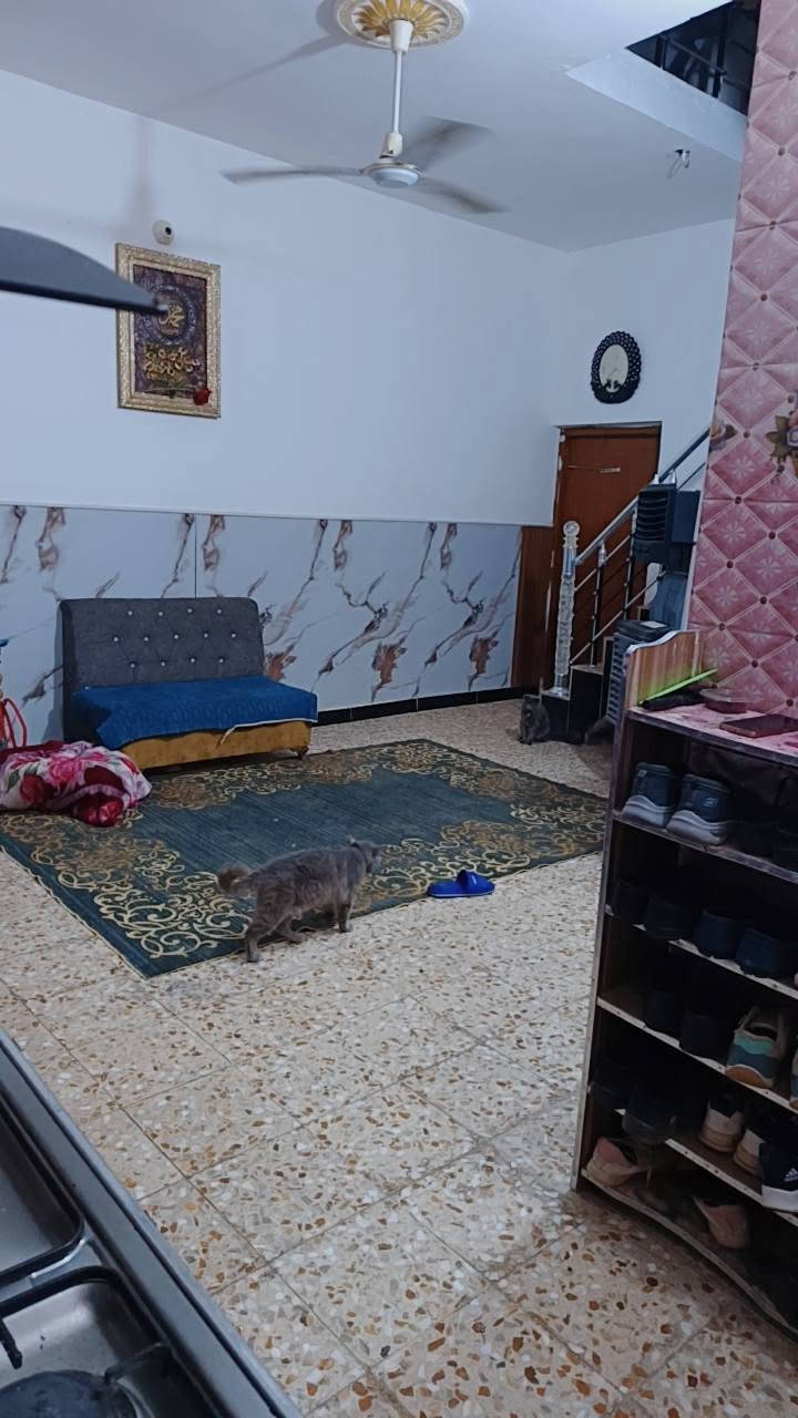 يلله سلام عليكم مشتمل مساحه 100 بيه غرفه وصاله ومطبخ. وستقبال  قريب عل كورنيش بناء نص طابوك ونص بلوك البي حلو السعر 26 وبيه مجال *********** خاص هم متواجد البيت كلش حلو مرتب
