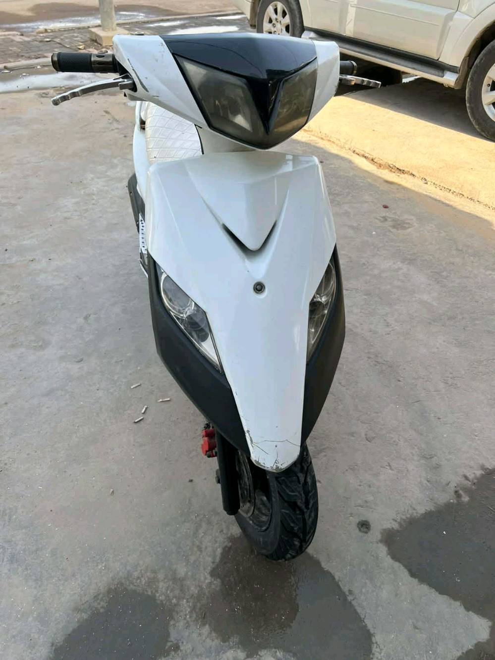 ثعلب • جديد • البوعيثه